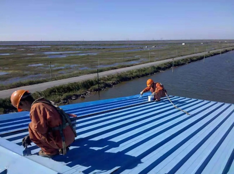 丽水彩钢瓦屋面防腐翻新